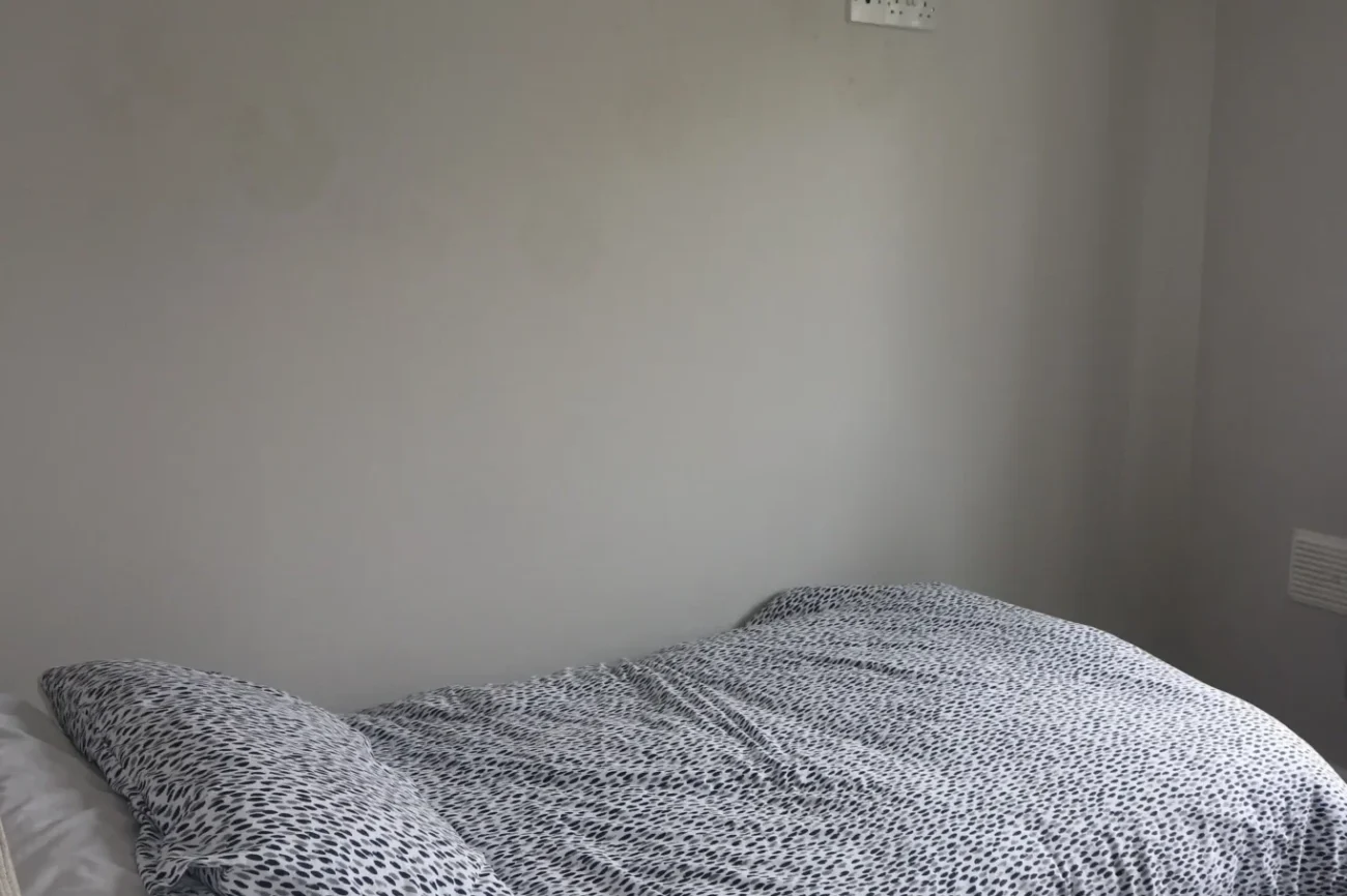 amber house 0433